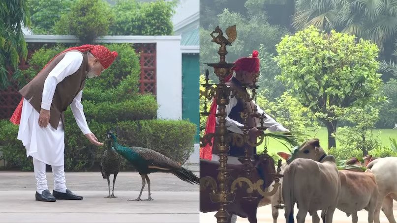 PM-Modi-Animal-Love